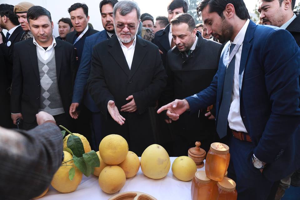 نمایشگاه پنجمین کنفرانس ملی شهری توسط دانش معاون رئیس جمهور افتتاح شد - تصویر سوم خبر