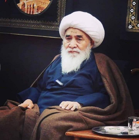 پیام تسلیت آیت الله سید محمود هاشمی ارزگانی در پی ارتحال آیت الله العظمی قربانعلی محقق کابلی - خبرگزاری افغان ایرکا