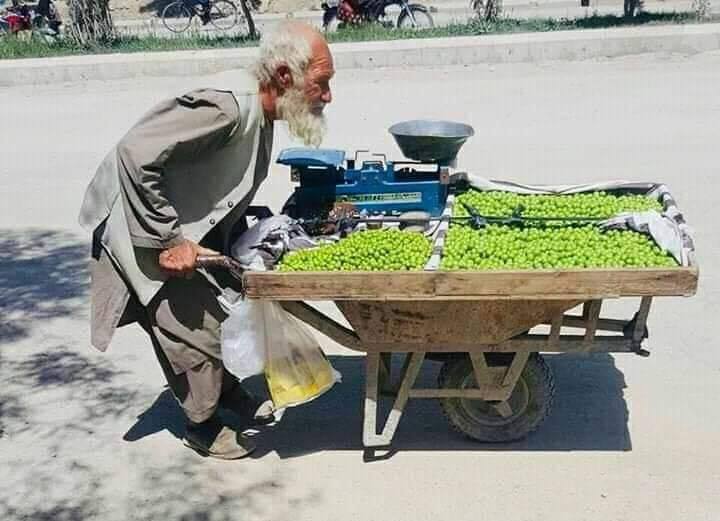 روز های سخت یک جنرال (عکس) - تصویر دوم خبر