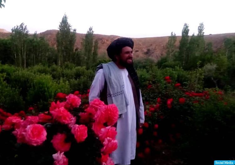 والی  نام نهاد طالبان برای میدان وردک کشته شد  - خبرگزاری افغان ایرکا