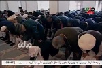 برداشت: وقتی رکوع قربانی سجده می شود - خبرگزاری افغان ایرکا