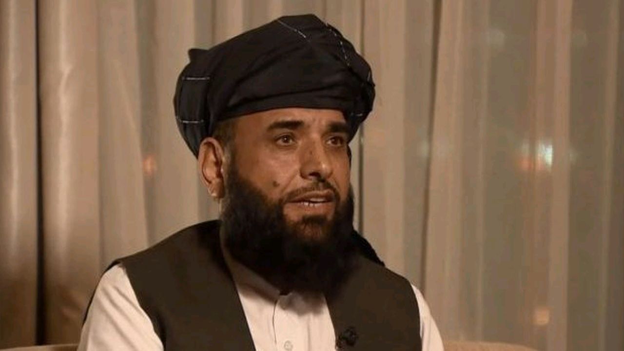 شاهین: طالبان 20 سال قبل آماده همکاری در تحقیقات 11 سپتامبر بود - خبرگزاری افغان ایرکا