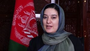 انتخابات پارلمانی و شوراهای ولسوالی ها در ماه میزان سال آینده بر گزار می شود - خبرگزاری افغان ایرکا
