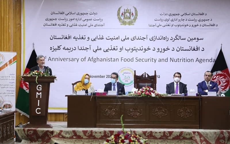 دانش: 13 میلیون نفر در کشور امنیت غذایی ندارند - خبرگزاری افغان ایرکا