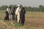طالبان نرخ عشر و زکات مردم غور را ابلاغ کردند - خبرگزاری افغان ایرکا
