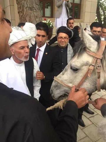 اسب حافظ سعید رهبر داعش در خراسان به رئیس جمهور غنی رسید! - خبرگزاری افغان ایرکا