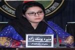 سخنگوی اداره امور: درخواست استعفای والی بلخ شایعه است - خبرگزاری افغان ایرکا
