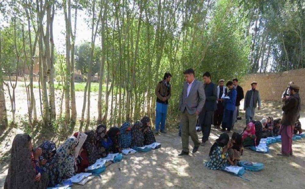 هنوز دختران غوری در بدل گاو و گوسفند فروخته می شوند - تصویر دوم خبر