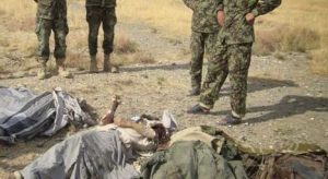 13 تن از اعضای طالبان در ولسوالی میوند قندهار کشته شدند - خبرگزاری افغان ایرکا