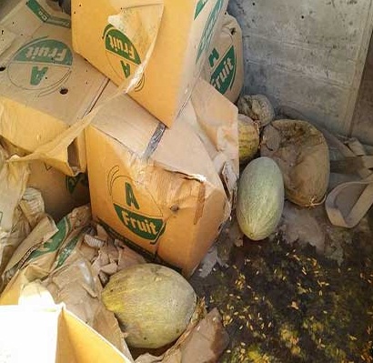 خربوزه ها را برگرداندند، انگور شان را برگردانید (عکس) - تصویر سوم خبر