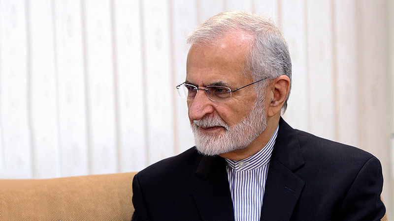 ایران قصد مداخله در امور داخلی افغانستان را ندارد، ولی منافع مشروع ایران باید تامین شود  - خبرگزاری افغان ایرکا