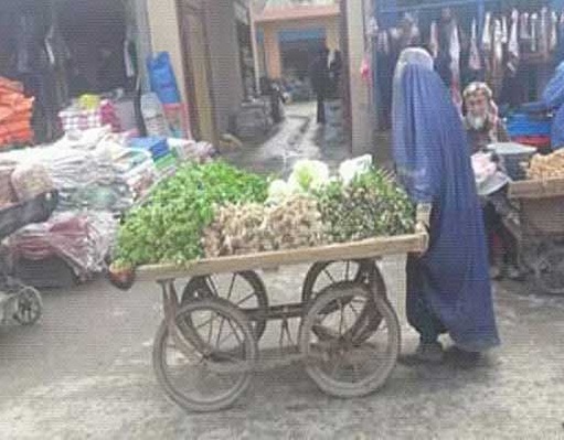 برداشت روز: زن هموطن در هشتم مارچ (عکس) - تصویر دوم خبر