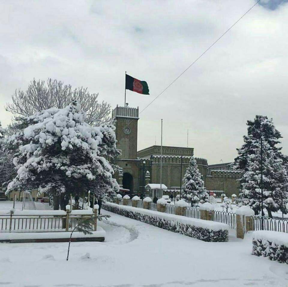 واکنش ارگ به نشر زندگی نامه ملا محمد عمر توسط یک نویسنده هلندی - خبرگزاری افغان ایرکا