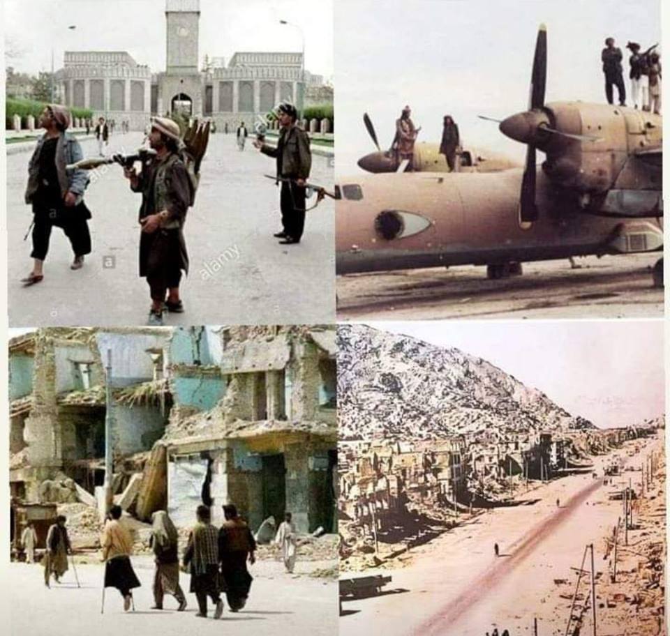  آدم هایی بی درک و بی درد بدتر از حیوان است! - تصویر دوم خبر