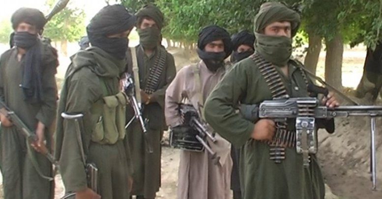 طالبان، از مزدوری تا بی شعوری - خبرگزاری افغان ایرکا
