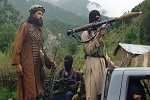 قوماندان ارشد طالبان کشته شد - خبرگزاری افغان ایرکا