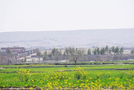 حمله گروهی مهاجمان در شهر جلال آباد بر خانه فریدون مومند یک عضو مجلس نمایندگان  - خبرگزاری افغان ایرکا