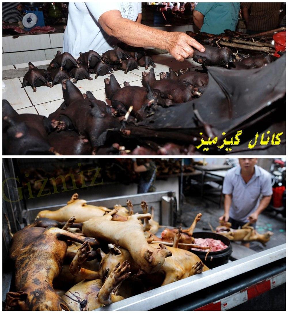 بازگشایی بازار خفاش و سگ در چین! - تصویر دوم خبر
