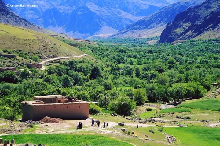فرمانده امنیه طالبان برای دایکندی: طالب یا غیر طالب، هرکس به تلاشی خانه مردم رفت، بکُشند - خبرگزاری افغان ایرکا