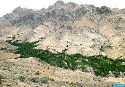  ادعای اختطاف یک دختر جوان توسط نیروهای خیزش مردمی در جاغوری غزنی  - خبرگزاری افغان ایرکا