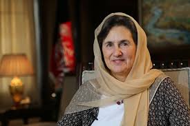 رولاغنی: دولت افغانستان آمادگی قطع کمک های امریکا را داشته باشد   - خبرگزاری افغان ایرکا