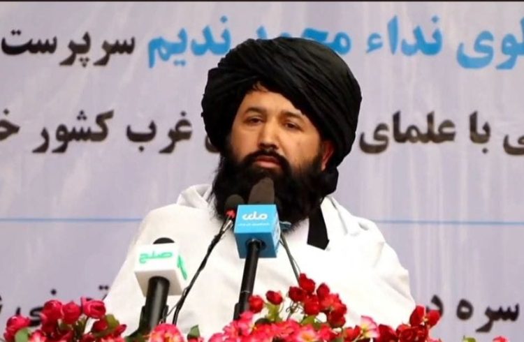 وزیر تحصیلات عالی طالبان دانشجویان را به اطاعت از دستورات هبت الله آخندزاده فراخواند - خبرگزاری افغان ایرکا