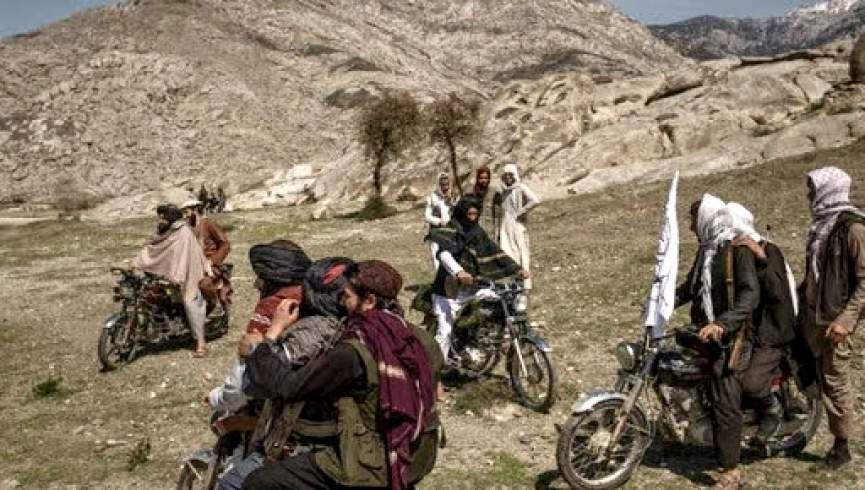 طالبان 7 دختر جوان را از سرجنگل ربودند - خبرگزاری افغان ایرکا