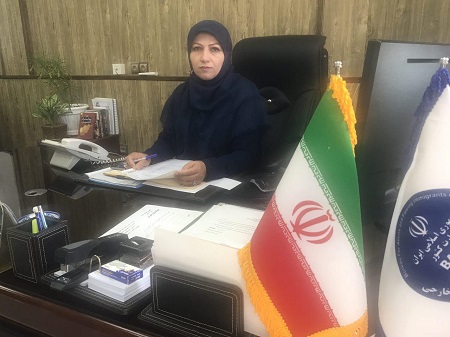 طرح آمایش 12 به زودی آغاز خواهد شد / مهاجرین از بیمه سلامت استقبال نکرده اند