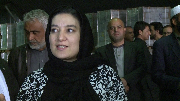 کمیسیون انتخابات: روند ثبت نام رای دهندگان سال آینده آغاز خواهد شد - خبرگزاری افغان ایرکا