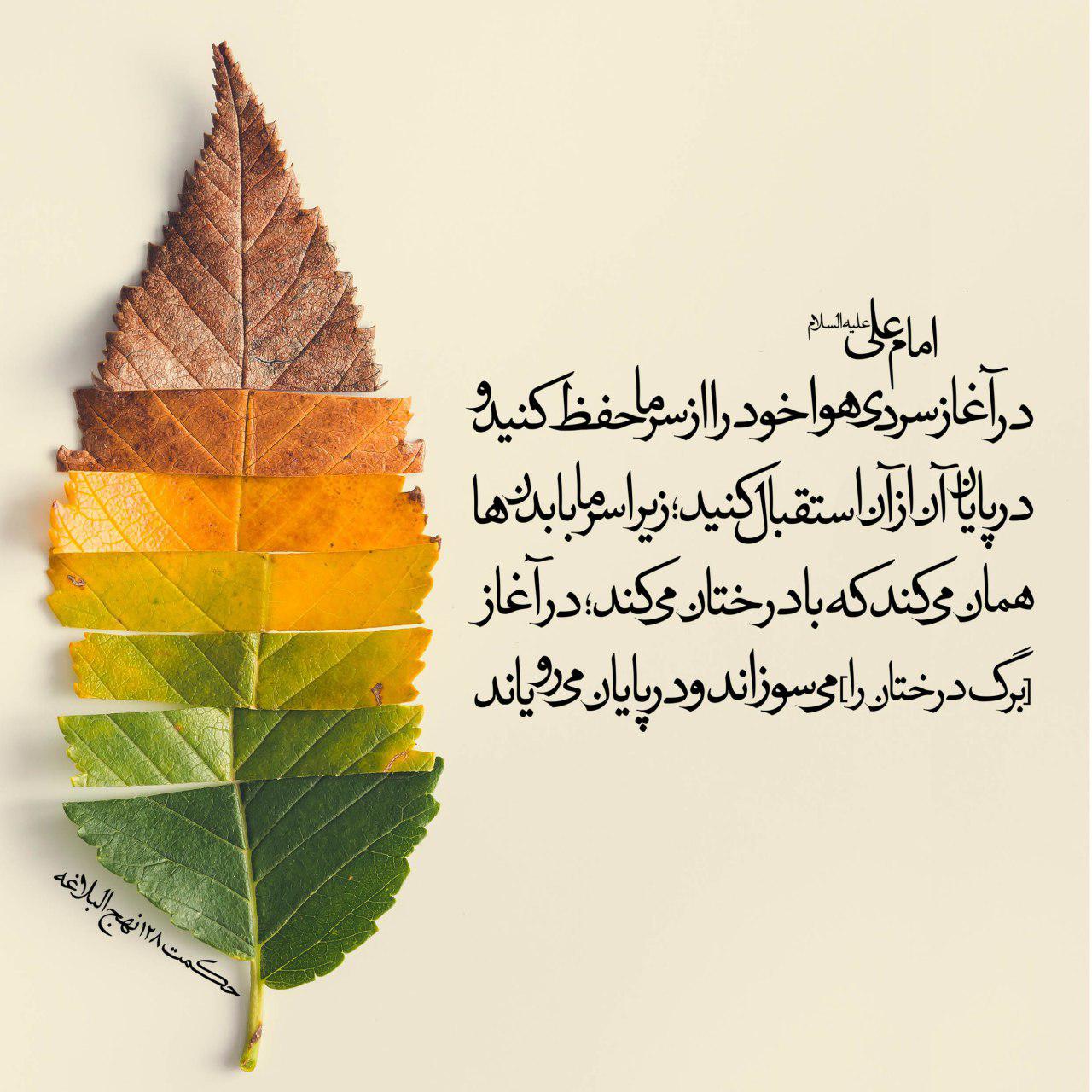 مزاج فصل سرما و مهمترین توصیه در آغاز آن - تصویر دوم خبر