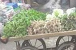 برداشت روز: زن هموطن در هشتم مارچ (عکس) - خبرگزاری افغان ایرکا