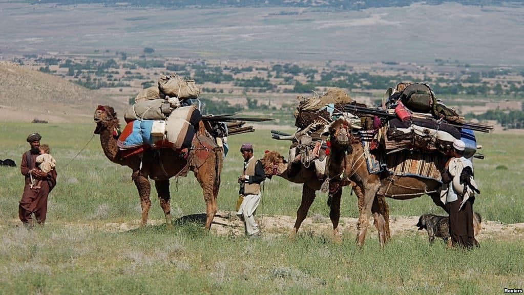 کوچی ها با سوء استفاده از نام طالبان محصولات شهروندان را تاراج می کنند - خبرگزاری افغان ایرکا