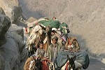جناب والی! جابجایی کوچی ها چرا در بلخ؟ - خبرگزاری افغان ایرکا