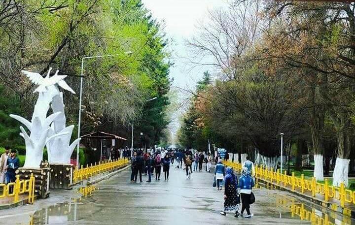 اگر می خواهی امتحان بدهی، تنها به دفترم بیا - تصویر دوم خبر