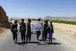 پشتون های غزنی: با ما خشکه حساب کنید - خبرگزاری افغان ایرکا