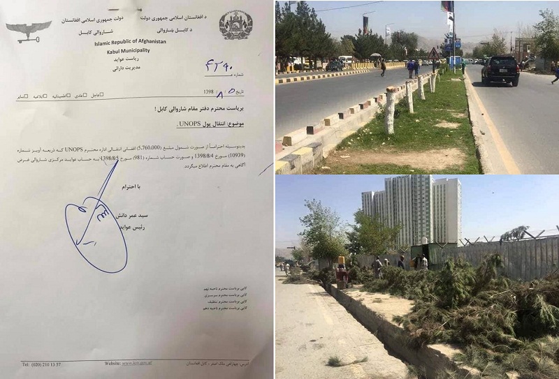 شرکت امنیتی که درختان را در کابل قطع کرده بود، جریمه اش را پرداخت - خبرگزاری افغان ایرکا