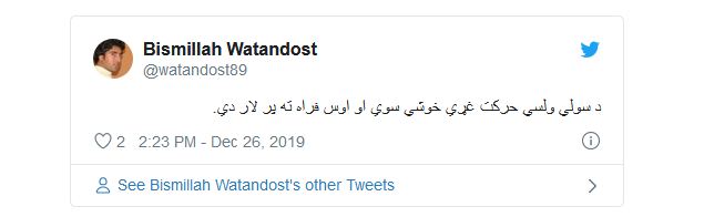  27 عضو ربوده شده حرکت صلح خواهان هلمندی از سوی طالبان رها شدند  - تصویر دوم خبر