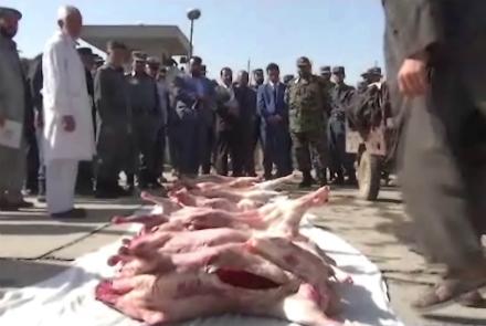 در غذای سربازان فرماندهی بادغیس «گوشت حرام و غیر صحی» استفاده می شد - خبرگزاری افغان ایرکا