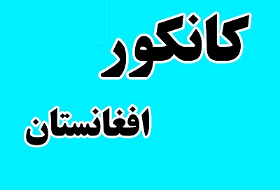 سهمیه بندی کانکور ولایات تفسیری بجز جلوگیری از دانایی جوانان هزاره ندارد - خبرگزاری افغان ایرکا
