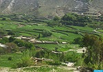 کشته شدن 16 عضو قطعه ی سرخ طالبان در ولایت ننگرهار - خبرگزاری افغان ایرکا