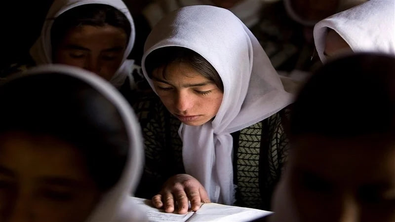  نمایندگی اتحادیه اروپا در روز جهانی معلم: آموزش دختران کلید توسعه و ثبات افغانستان است - خبرگزاری افغان ایرکا