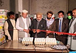 اتاق زراعت و مالداری: یک تخم مرغ را هشت افغانی می فروشیم - خبرگزاری افغان ایرکا