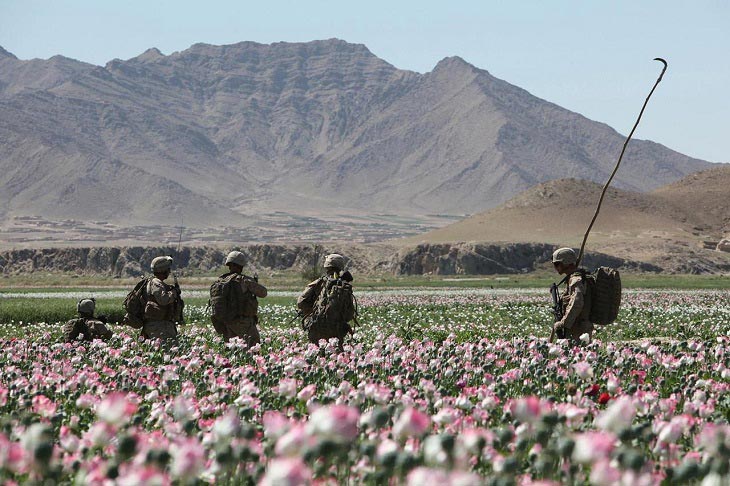 روسیه: «سیا» در قاچاق مواد مخدر در افغانستان دست دارد - خبرگزاری افغان ایرکا