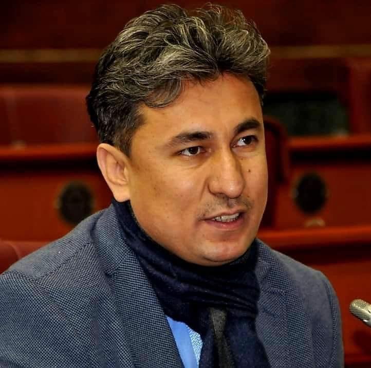 آریا نژاد: برخی از زنان مطرح در سیاست افغانستان در بیرون از کشور برای طالبان کار می کنند - خبرگزاری افغان ایرکا
