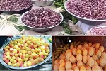 میوه های رنگ رنگ جاغوری  - خبرگزاری افغان ایرکا
