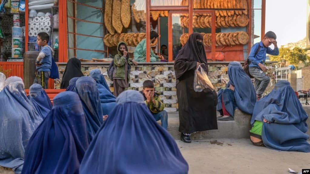  برنامهٔ جهانی غذا: 98 درصد افغان ها غذای کافی برای خوردن ندارند  - خبرگزاری افغان ایرکا