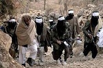 حکومت از داعش چشم پوشیده است - خبرگزاری افغان ایرکا
