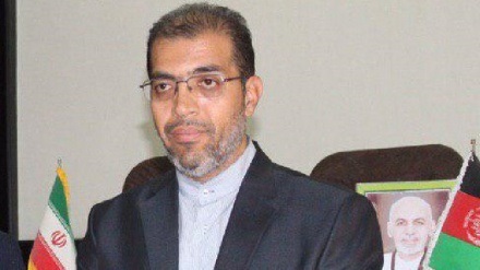 ترور مولوی نیازی، موید نفرت تروریست ها از صلح افغانستان است - خبرگزاری افغان ایرکا