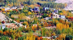 مردی در ولسوالی «جاغوری» دخترش را به همراه یک پسر کُشت - خبرگزاری افغان ایرکا