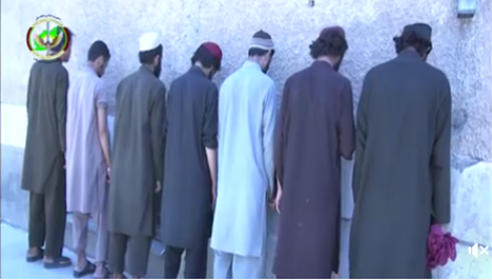 بازداشت هفت عضو شبکۀ تروریستی حقانی در پکتیا - خبرگزاری افغان ایرکا